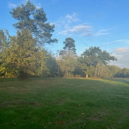 Holiday home O20 Esprit Nature Sainte-Helene (Gironde)